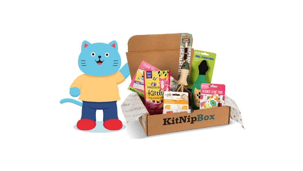 Paws-itively Purr-fect: Unboxing the Fun with KitNipBox!