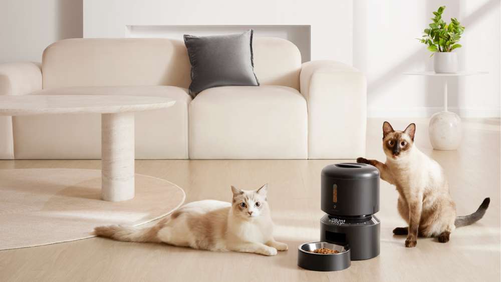 Simplifying Pet Care with Petlibro US