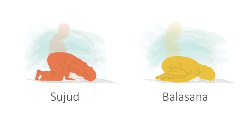 Sujud & Balasana