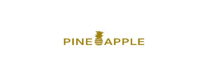 Pineapple Clothing Discount Codes 2024