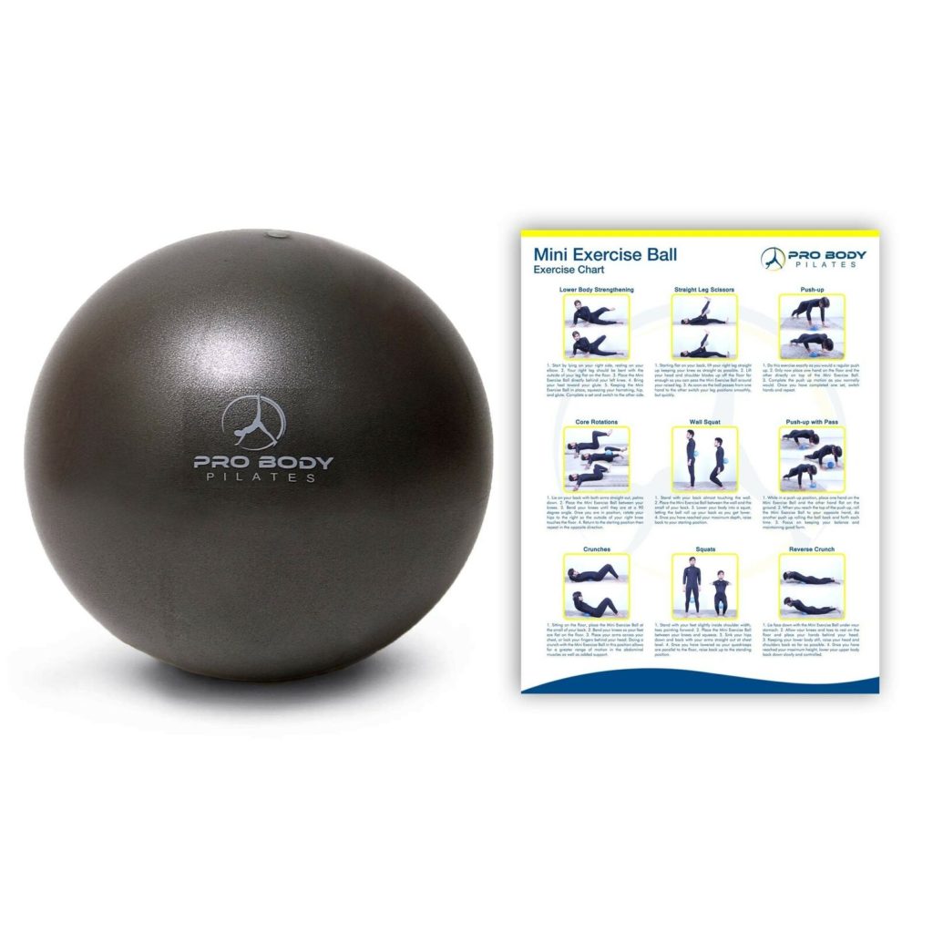 ProBody Pilates Mini Exercise Ball