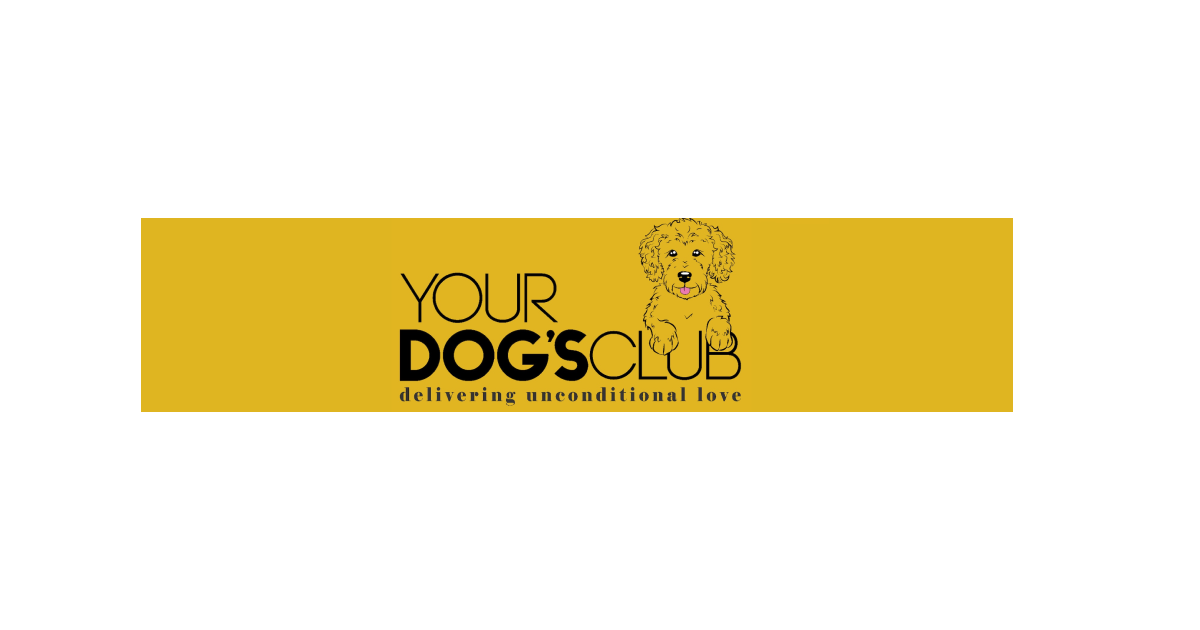 Your Dog's Club UK Discount Code 2024